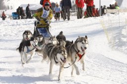 Lenk 2012 SM